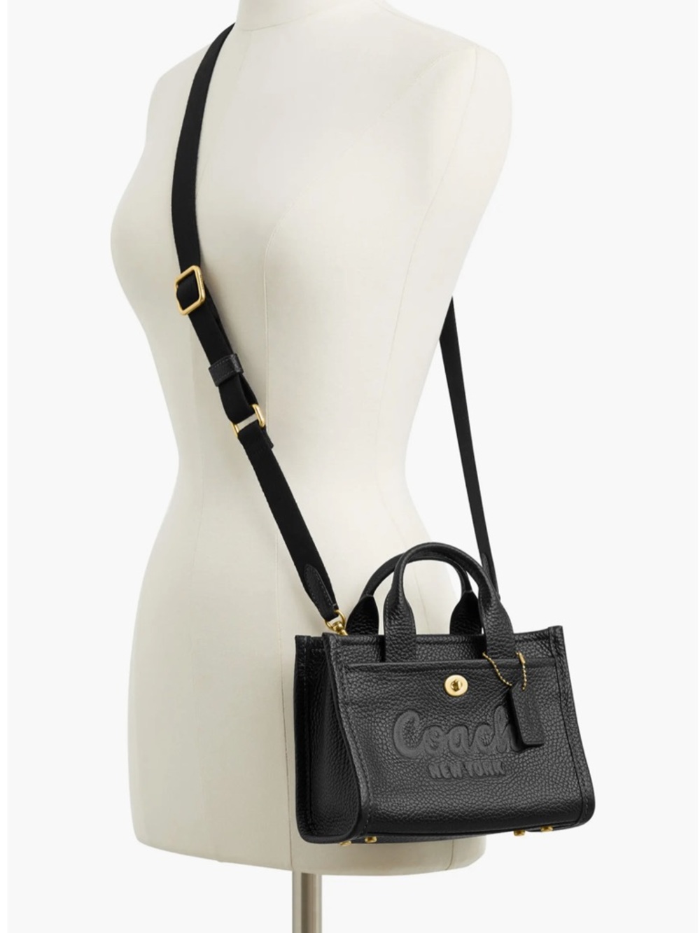 Coach Bubble 20 Leather Cargo Tote - Picture 2 of 11